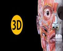 3D Atlas of Anatomy
